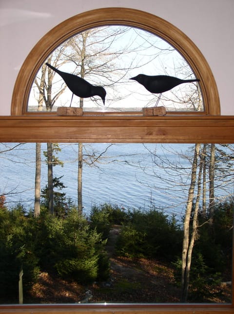 The View from Second Floor Window