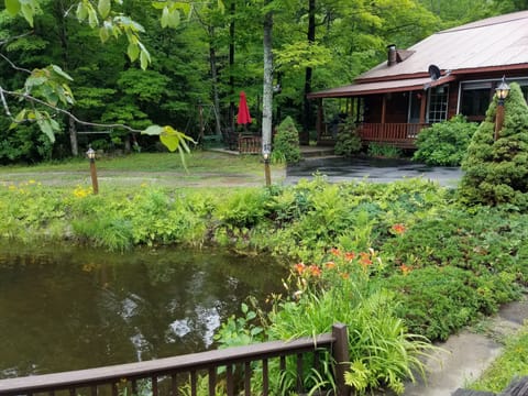 Photo taken from Guest House