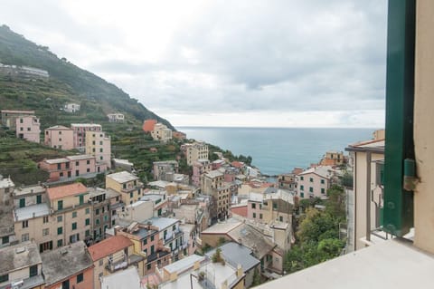 View from our windows
