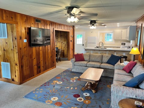 Smart TV, fireplace, books