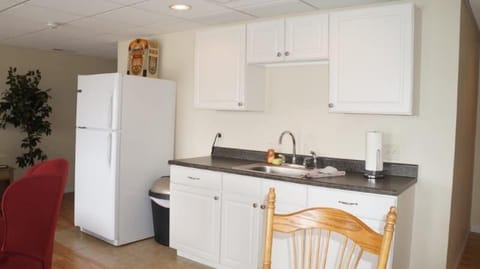 Lower level kitchenette includes full size fridge, sink and microwave