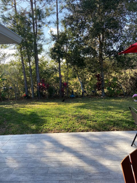 Beautiful sunsets/ private backyard