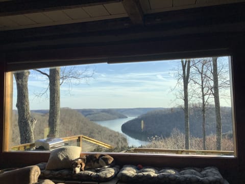 This is the amazing view from the main floor (open concept). 
