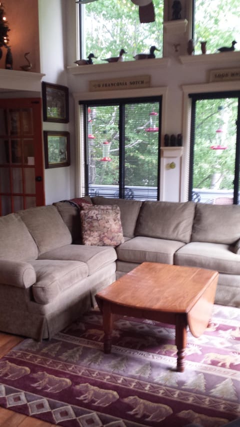 Living room area
