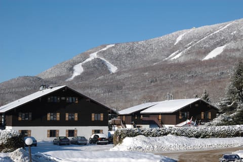 Chalets Montmorency in winter