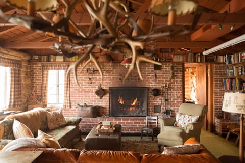 Smart TV, fireplace, DVD player, books