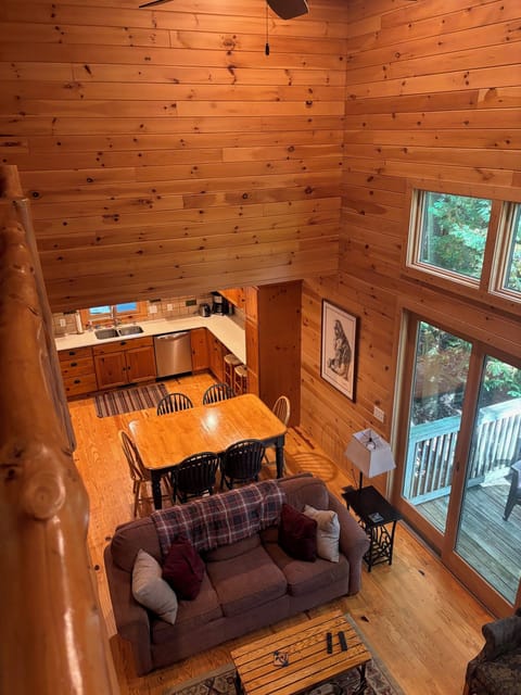 TV, fireplace, DVD player, books