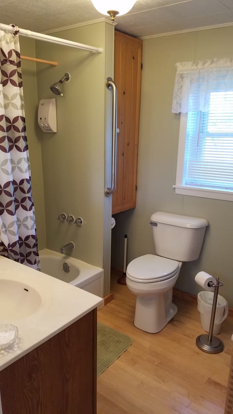 Combined shower/tub, hair dryer, towels, soap