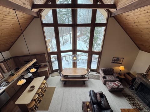 TV, fireplace, DVD player, books