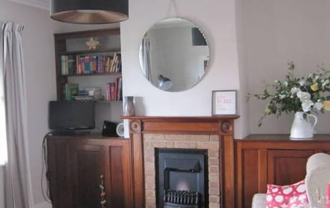 TV, fireplace, DVD player, books