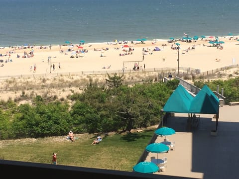 View from Master Bedroom