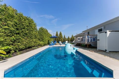 Pool is open for 2025