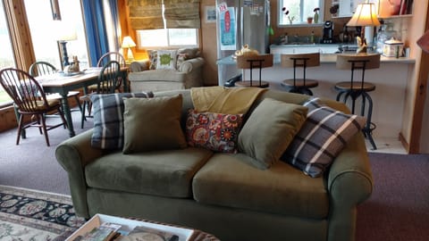 Full-size, sofa bed. 