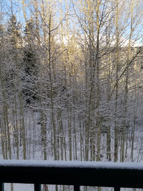 Balcony overlooking National Forest and Breckenridge Mountains 