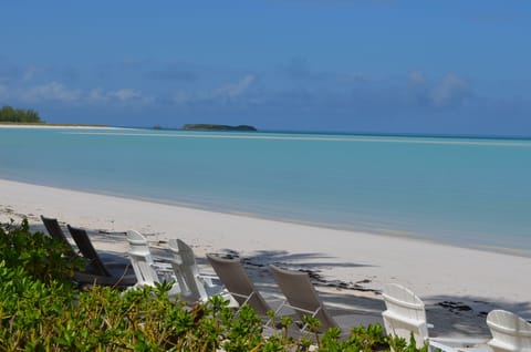 Relax at the ocean's edge or on your shaded porch facing the sea.