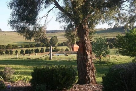 view from cottage