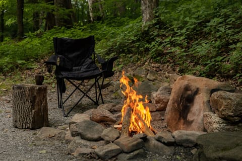 What vacation to the mountains is complete without a campfire??