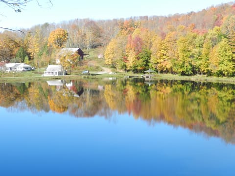 FALL FOLIAGE AROUND THE LAKE