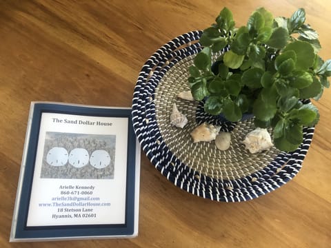 The Sand dollar House