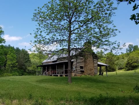 Maggie's Farm