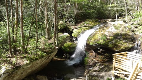 Otter Falls.....10 minute walk !!!