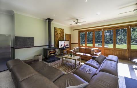 TV, fireplace, DVD player, table tennis