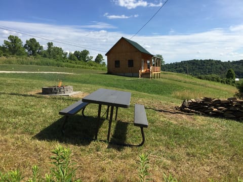 Picnic area at the Cottage, firewood provided