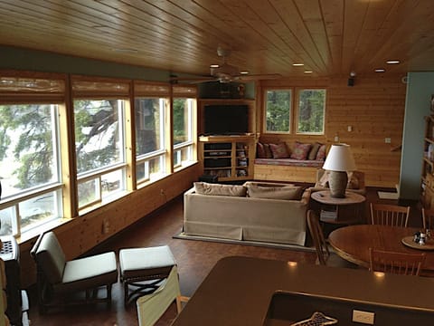 TV, fireplace, DVD player, books