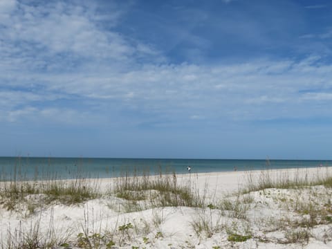 On the beach, sun loungers, beach towels