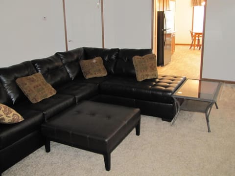 Smart TV, DVD player, books