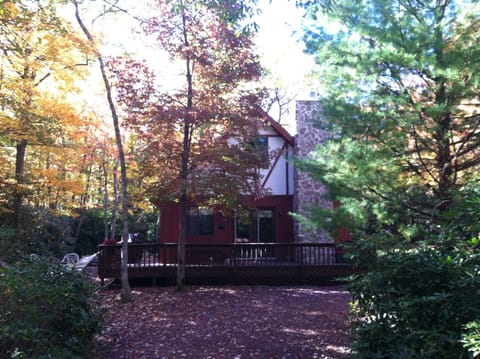 Cabin Surrounded by Fall Foliage