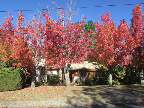 Front View of Property