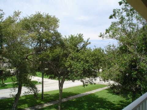 View  from front porch.