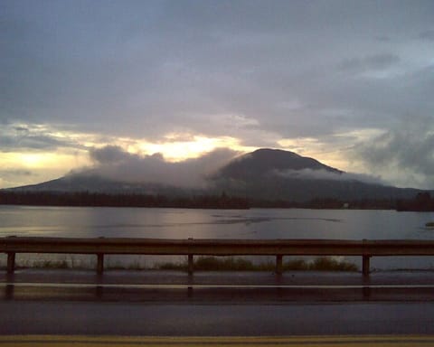 Bigelow mist