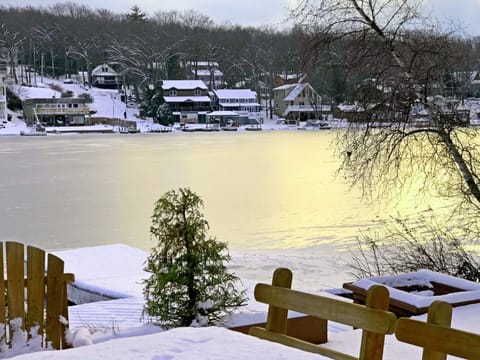 Winter view of the lake 