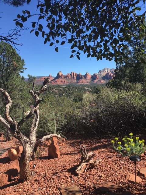 Riley's Respite is a little slice of heaven here on earth.
