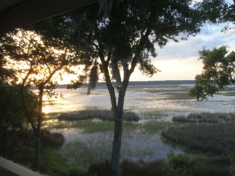 Marsh view during high tide out the back screen porch