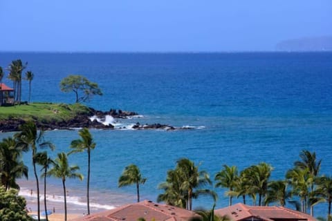 Ocean view from Lanai