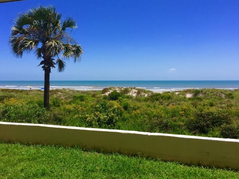 Ocean View From The Patio