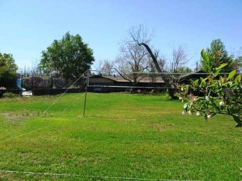 Really Big Back Yard