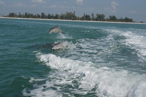 Just off Sanibel Island