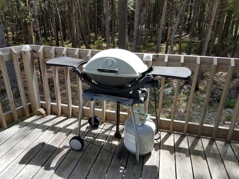 Weber grill