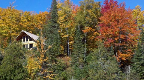 view of cabin from Porter Lake