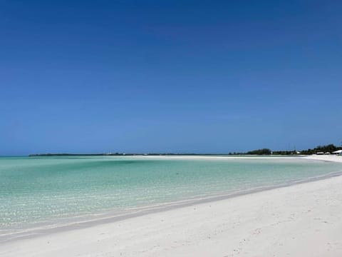 Sunnyside Beach Villa is located in the center of a spectular miles long beach! 