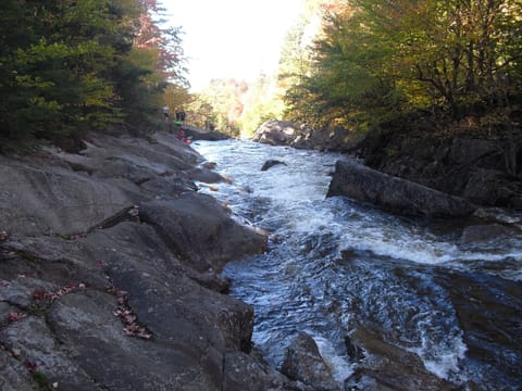 Beautiful nearby wilderness to explore.