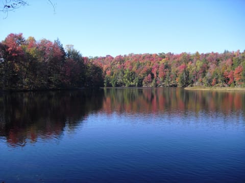 One of the many lakes a short drive away.