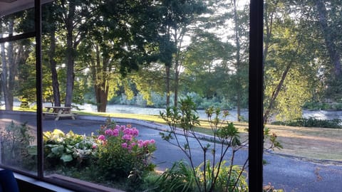 View of Rogue River from living room