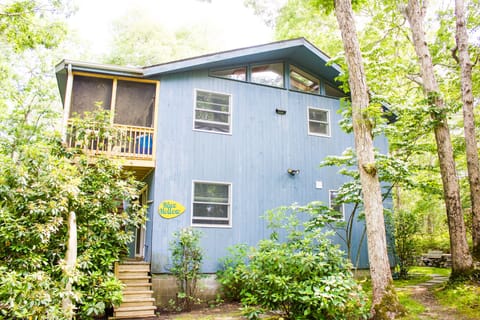 Welcome to Blue Hollow