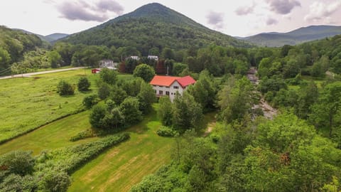 Songbird Haven, southern exposure