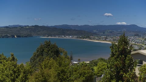Mercury Bay Whitianga